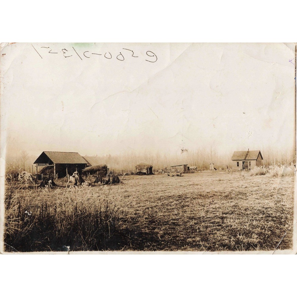 Vtg Sepia Homestead Farm Photo Bertha Matthes Stamp Barn House Rural - Picture 1 of 2